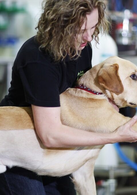 shoulder-stretch-buddy